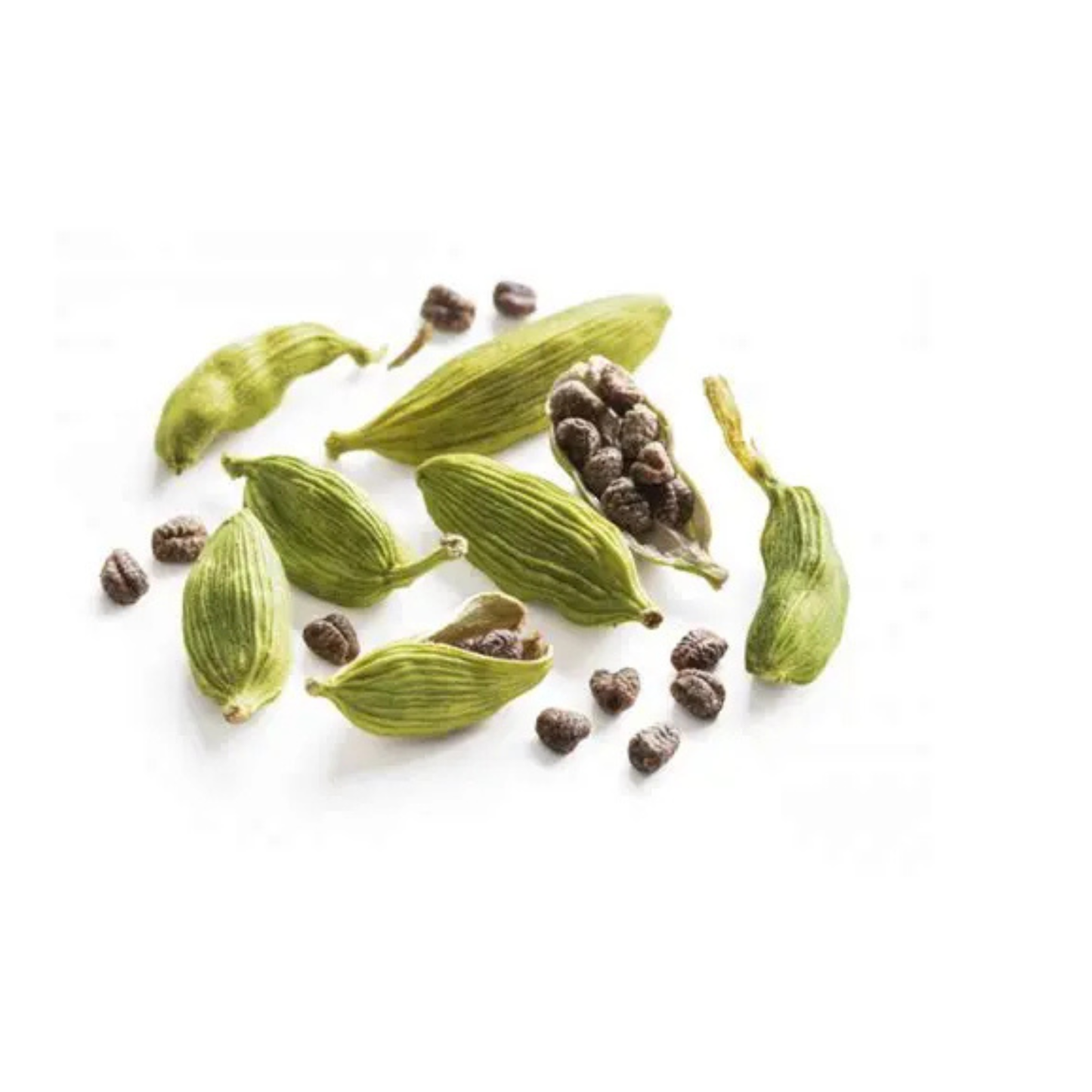 【TIME×ebinamasutoshi.】ブレンド / 苦・爽・酸