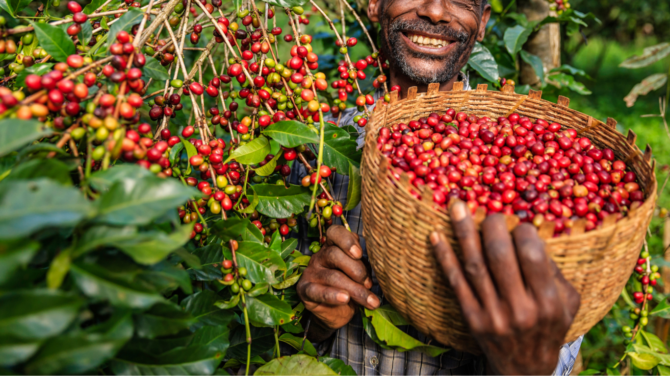 1.png__PID:9b629c42-8c16-467e-8b3e-9a7f87a930c7