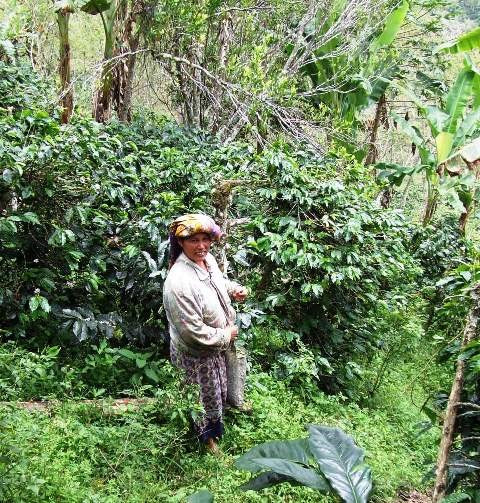 1111ブレンド / 深・苦・コク